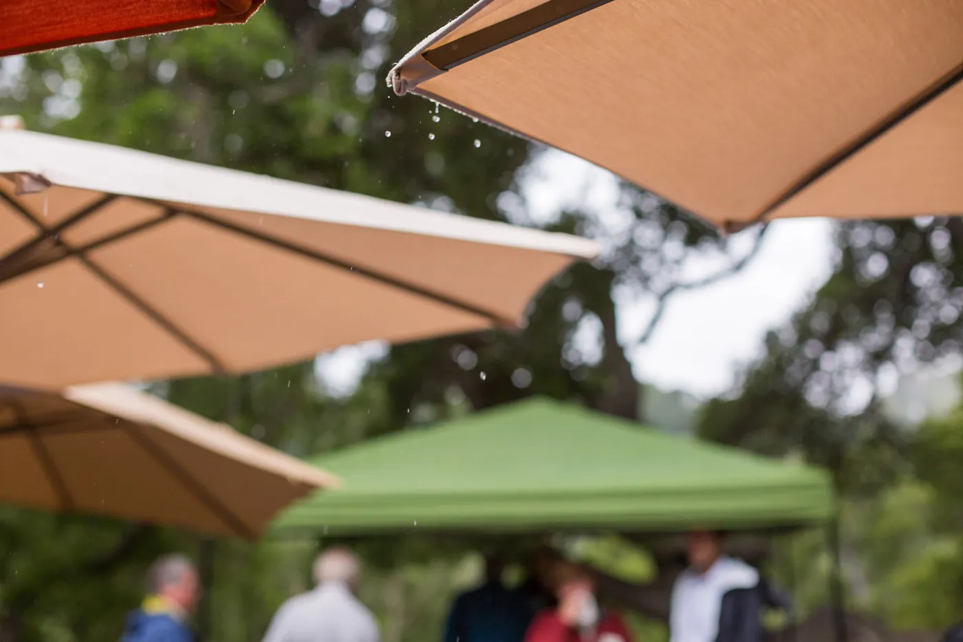 Members Picnic 2016, Day 2