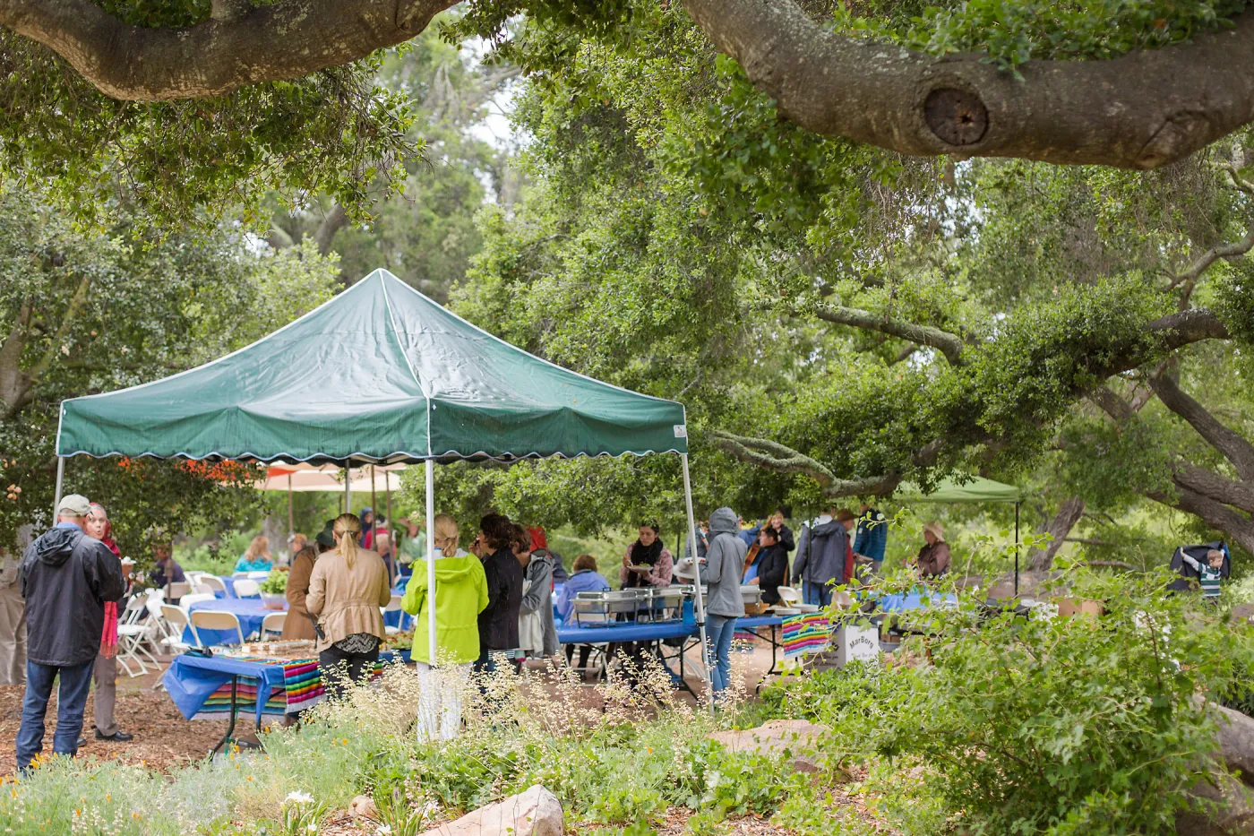 Members Picnic 2016, Day 2