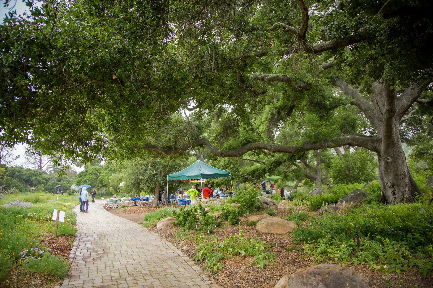 Members Picnic 2016, Day 2