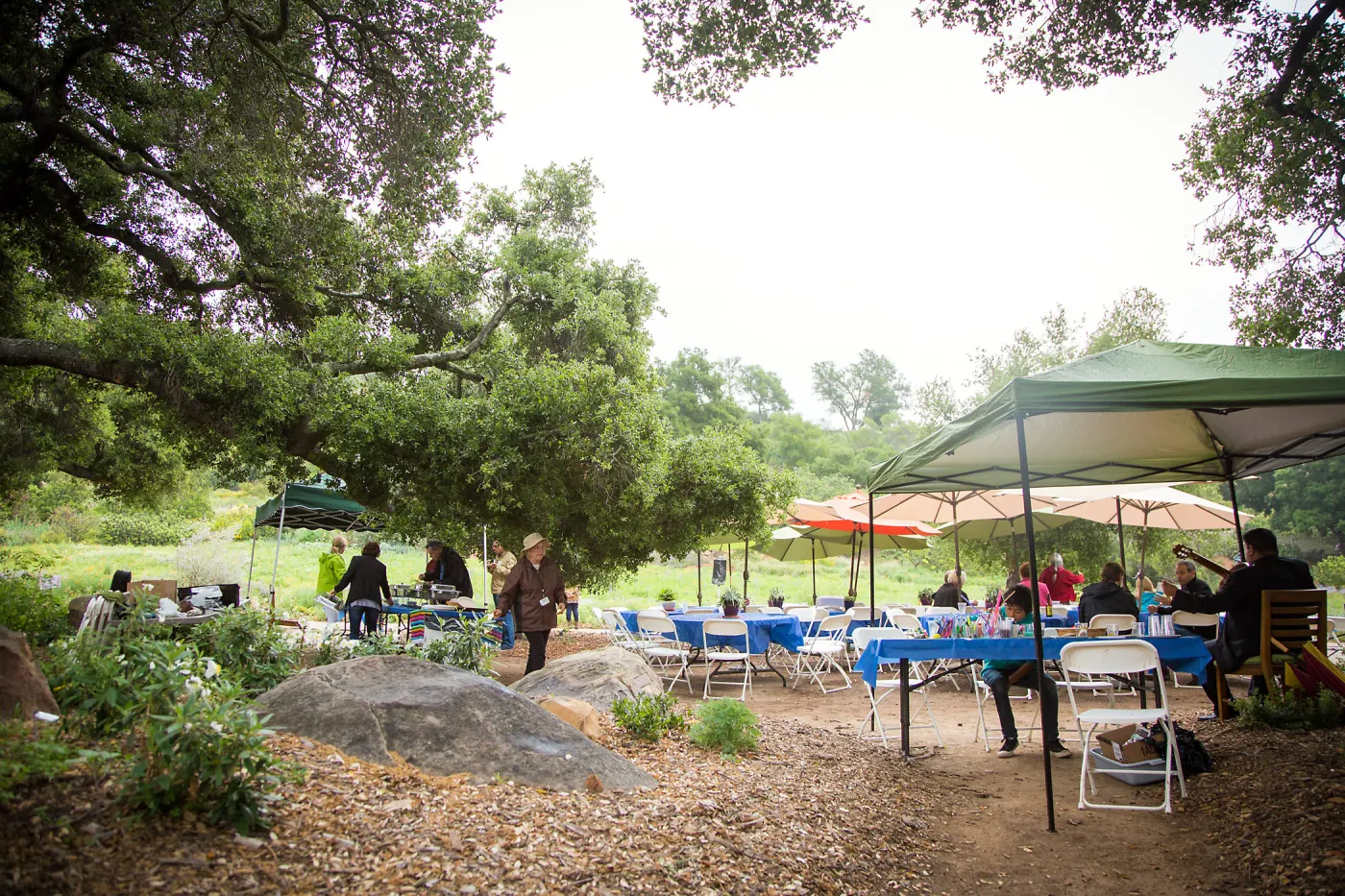 Members Picnic 2016, Day 2