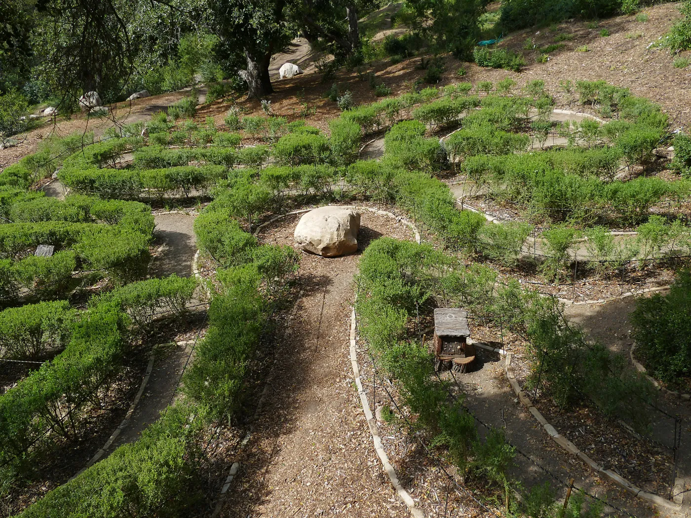 Centennial Maze