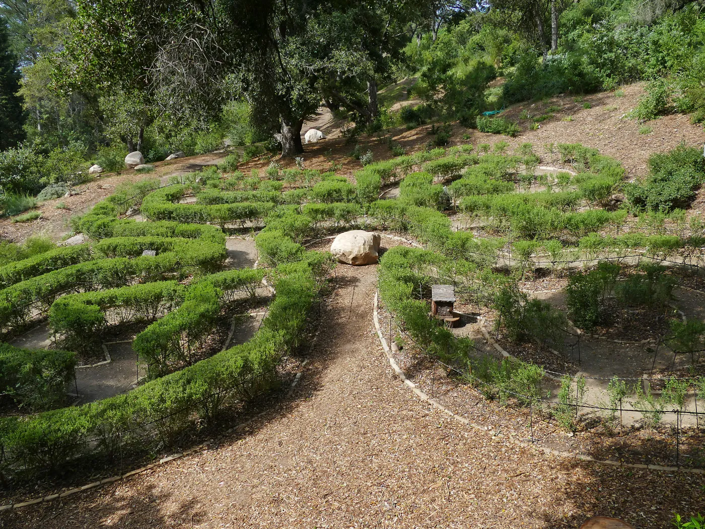 Centennial Maze