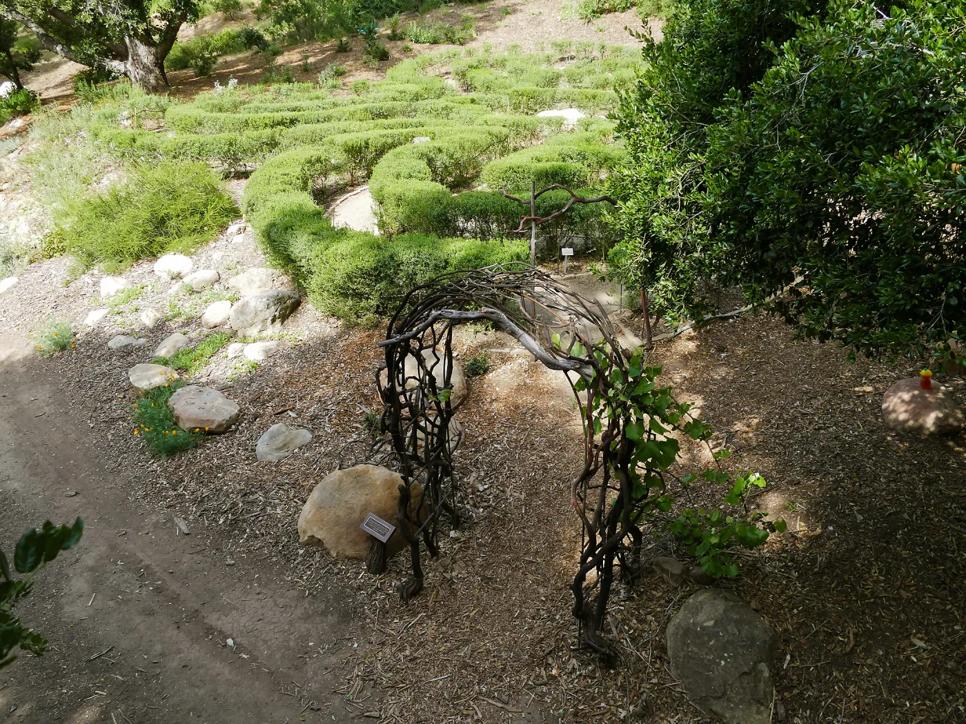 Centennial Maze