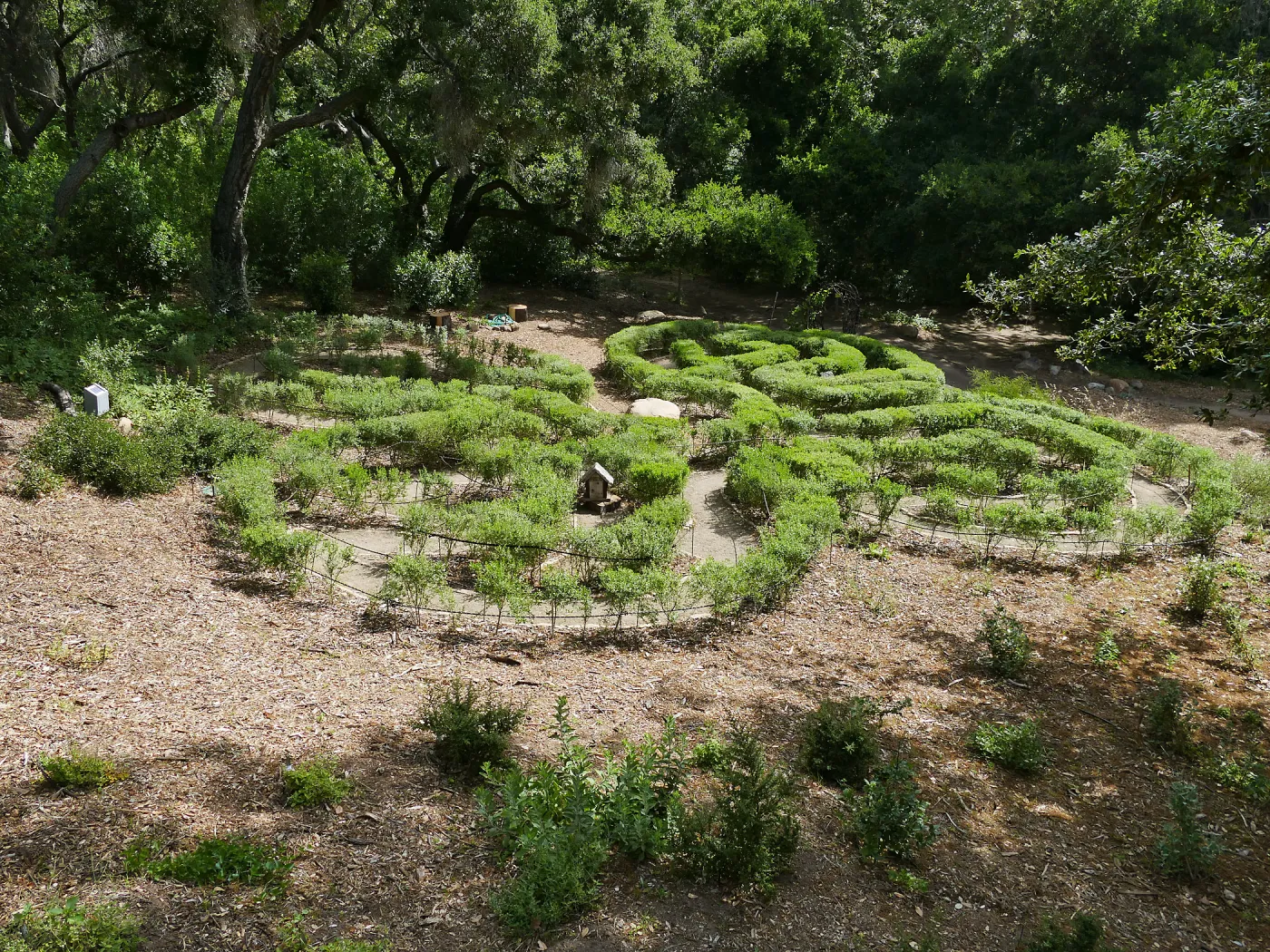 Centennial Maze