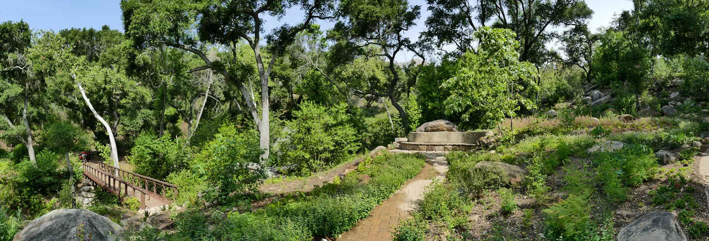 Wooded Dell panorama with Campbell Bridge and Campbell Bench
