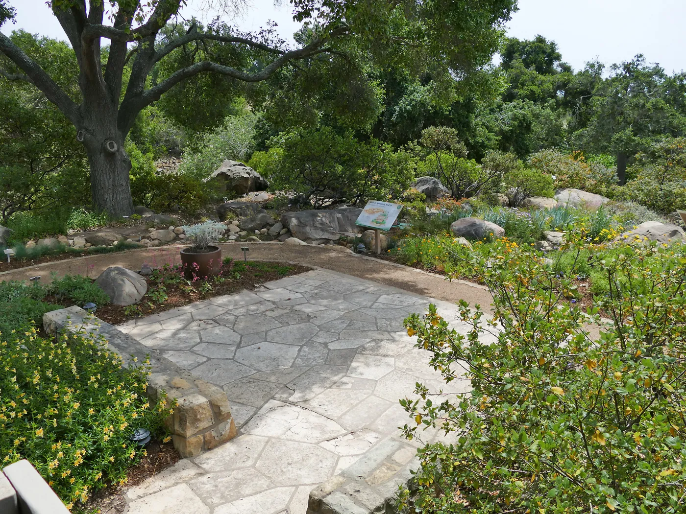 Home Demonstration Garden Renovation, view 20, looking southeast from south entrance of Cottage