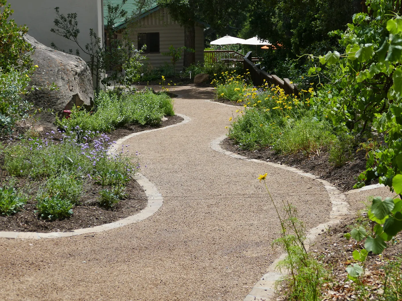 Home Demonstration Garden Renovation, Eco-Pave path west of Herbarium