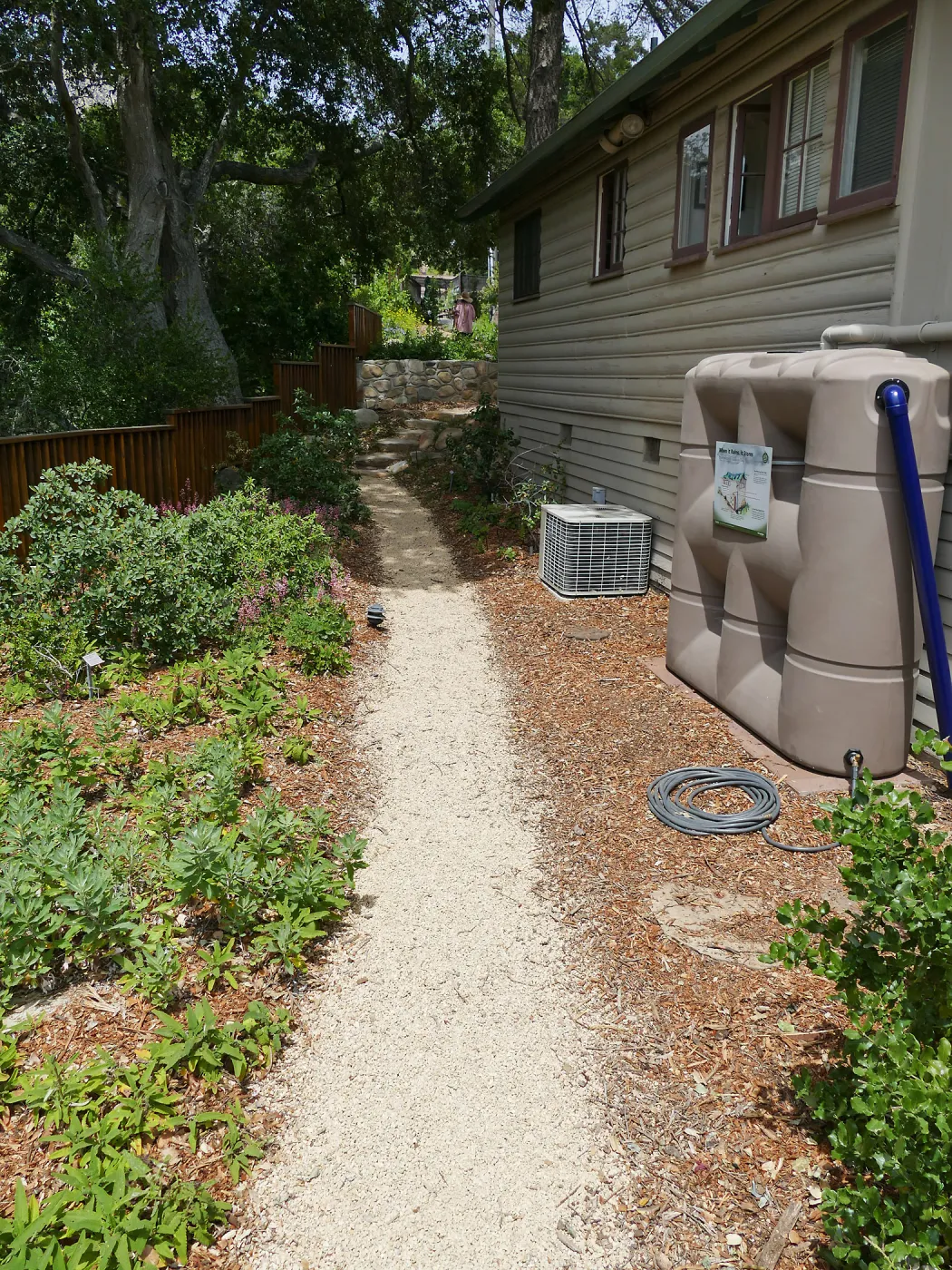 Home Demonstration Garden Renovation, view 30, looking north along path west of Cottage