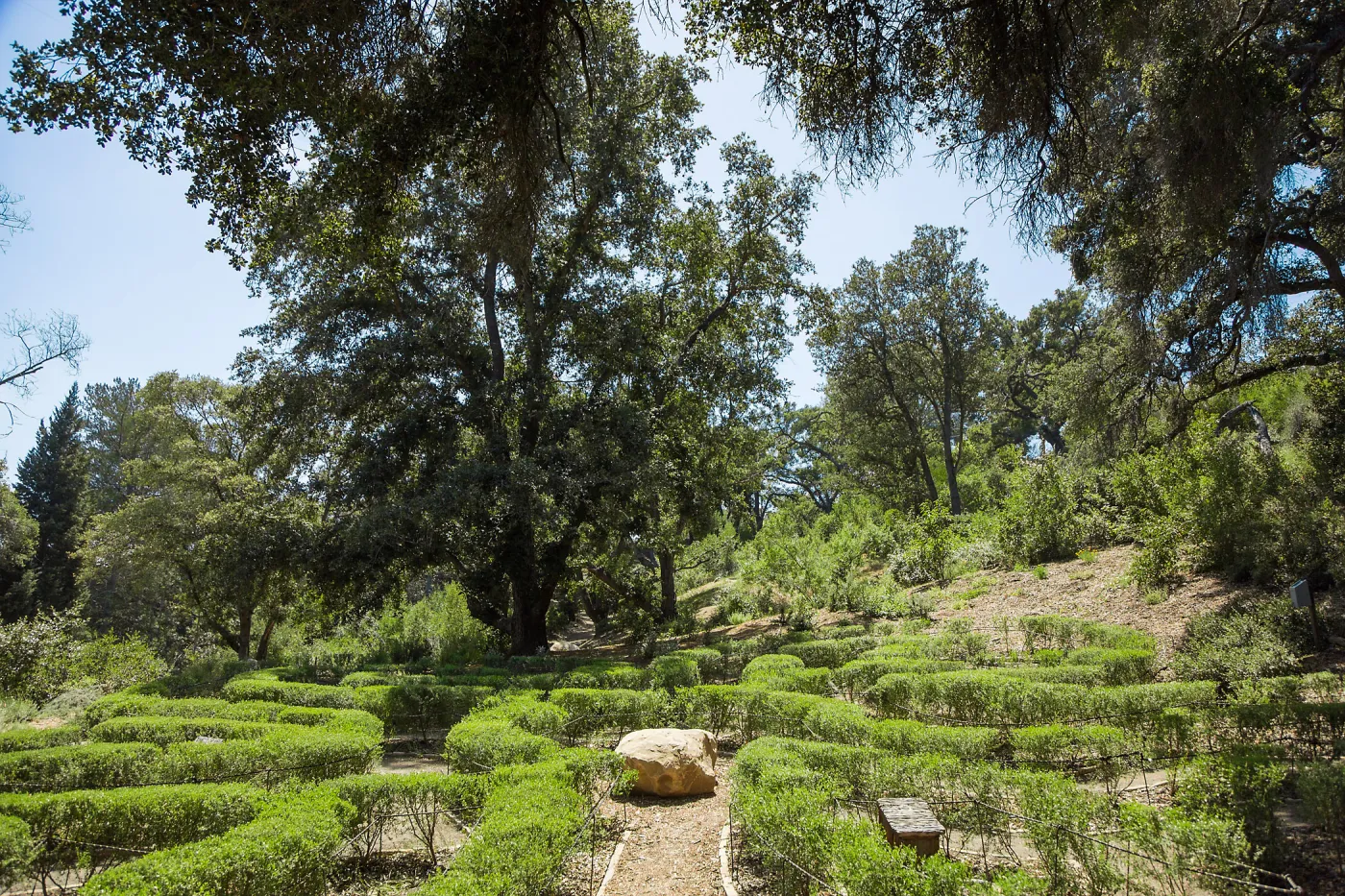 Centennial Maze