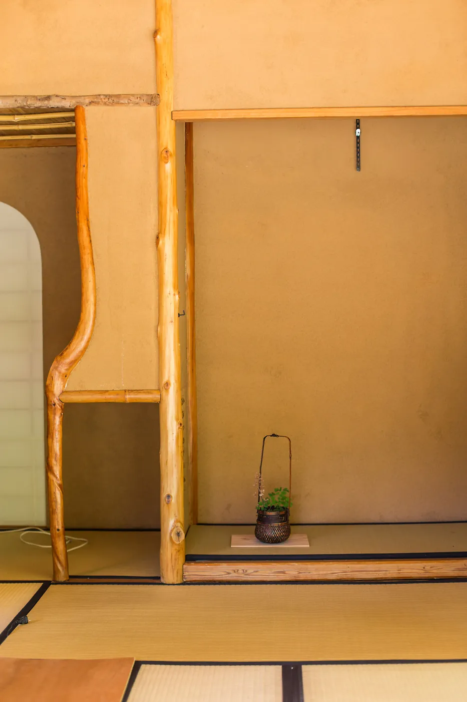 Cultivating the Wild: Native Gardens Tour and 90th Birthday Celebration, Teahouse