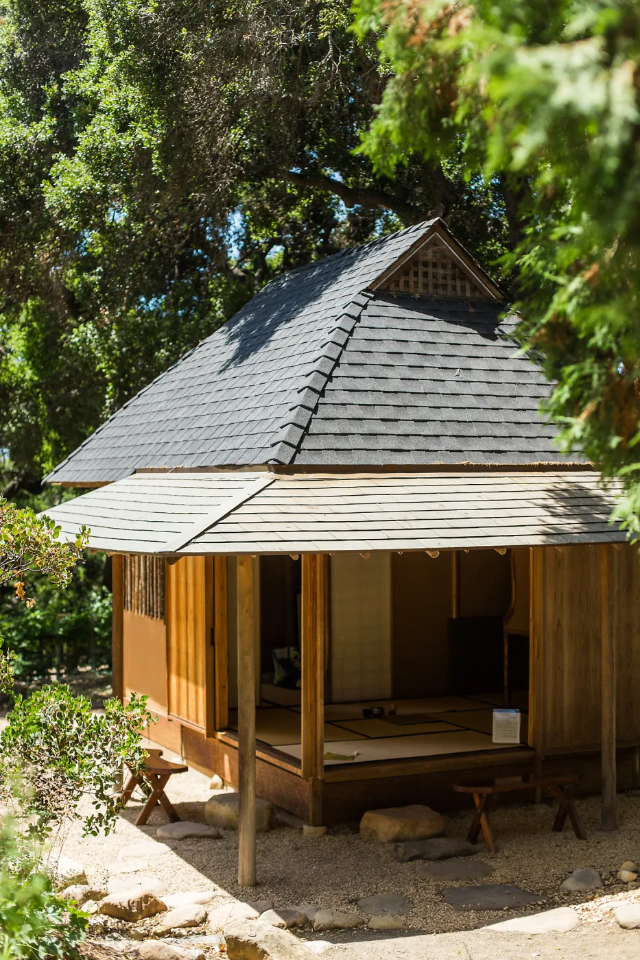 Cultivating the Wild: Native Gardens Tour and 90th Birthday Celebration, Teahouse