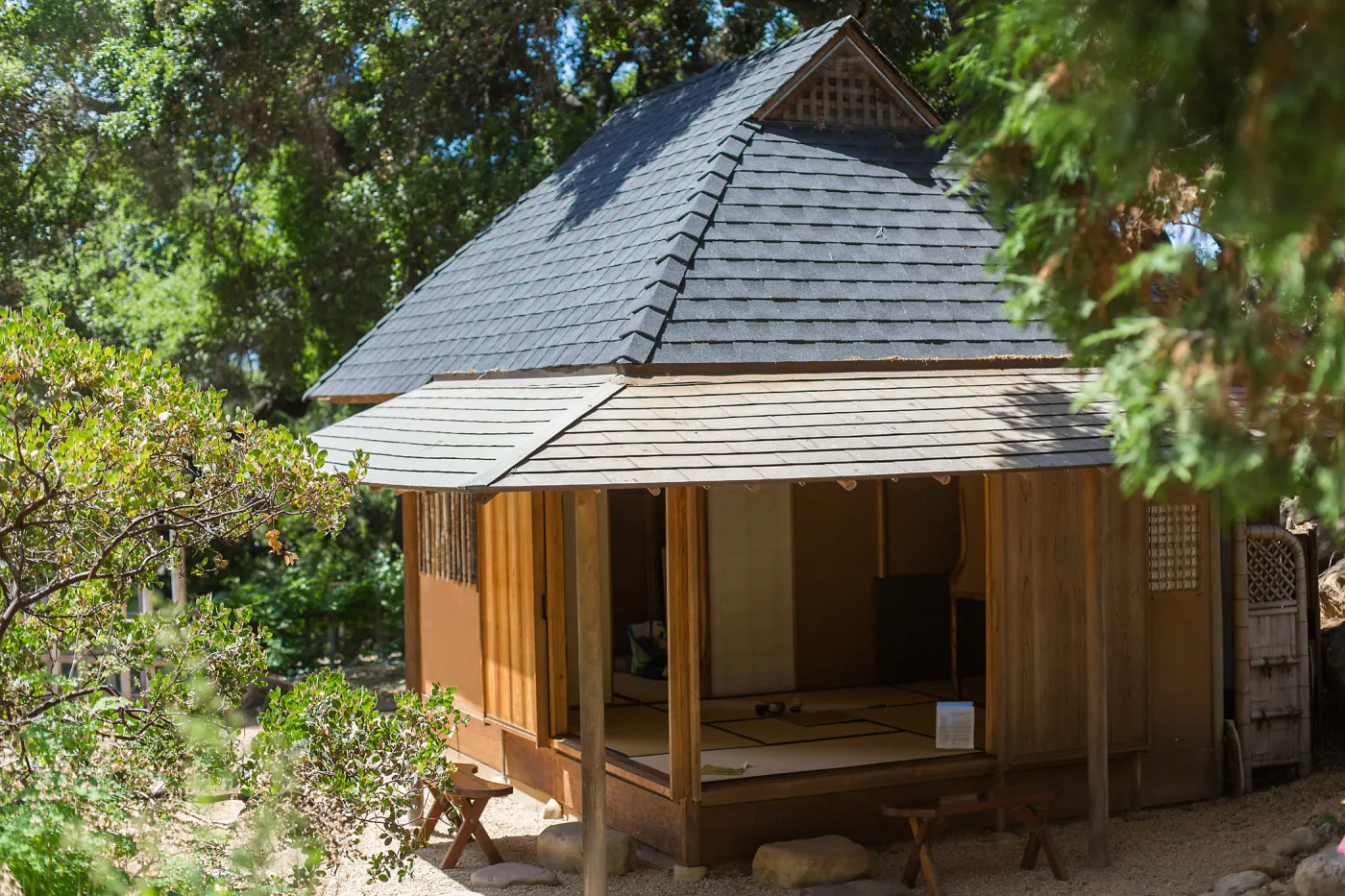 Cultivating the Wild: Native Gardens Tour and 90th Birthday Celebration, Teahouse