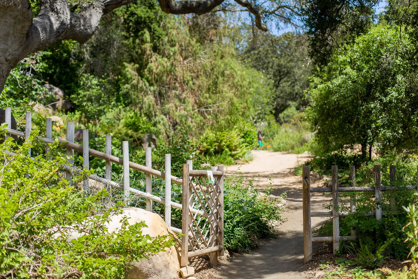Cultivating the Wild: Native Gardens Tour and 90th Birthday Celebration, Teahouse