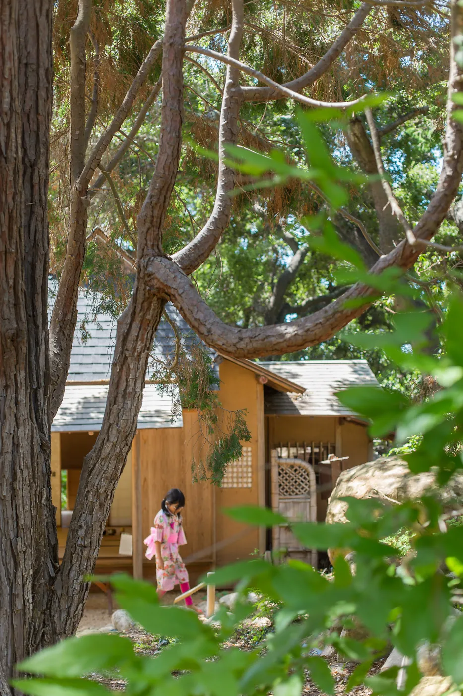 Cultivating the Wild: Native Gardens Tour and 90th Birthday Celebration, Teahouse
