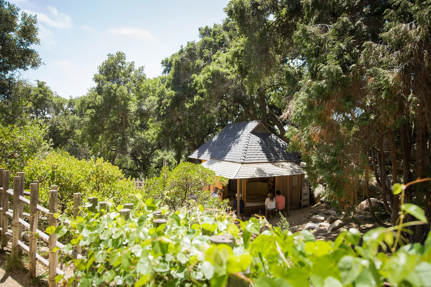 Cultivating the Wild: Native Gardens Tour and 90th Birthday Celebration, Teahouse