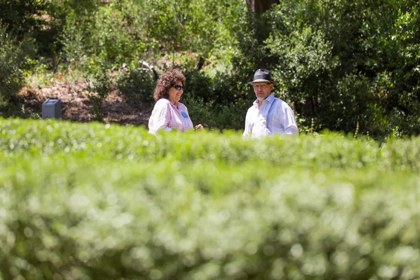 Cultivating the Wild: Native Gardens Tour and 90th Birthday Celebration, Centennial Maze, Lenore Hughes, Steve Windhager