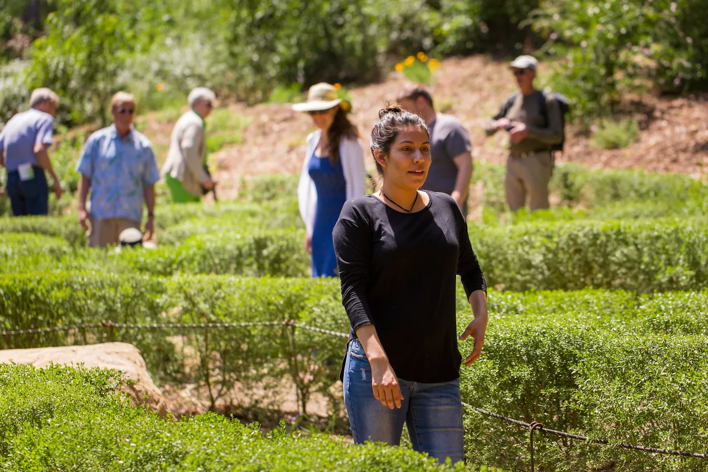 Cultivating the Wild: Native Gardens Tour and 90th Birthday Celebration, Centennial Maze