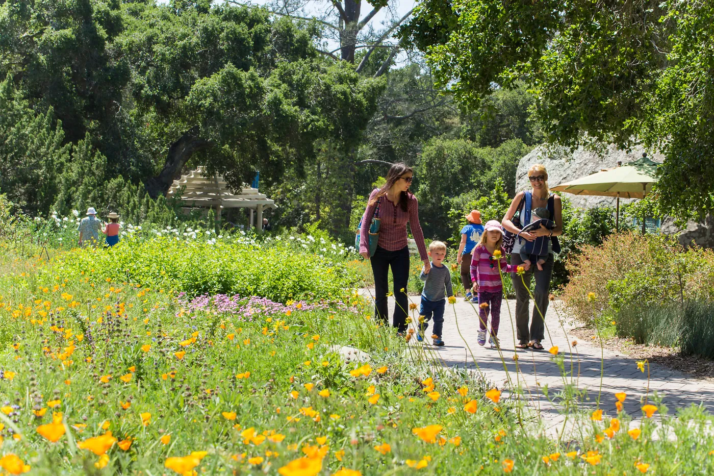 Cultivating the Wild: Native Gardens Tour and 90th Birthday Celebration