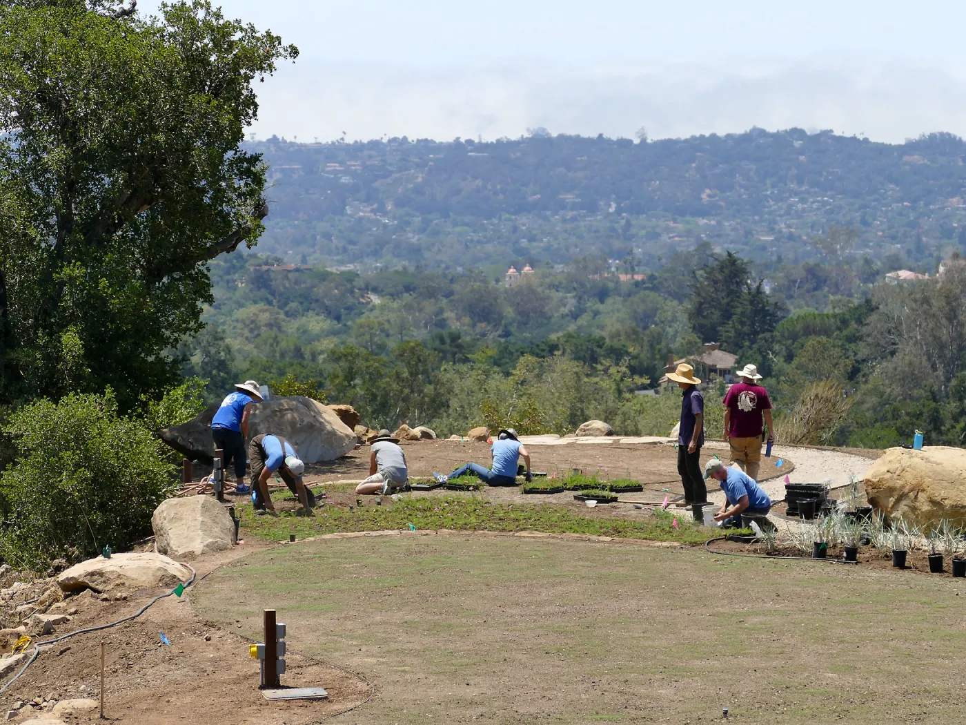 Volunteers and staff planting the new Island View Garden