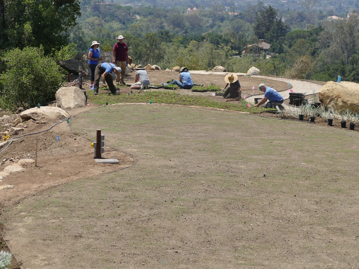 Volunteers and staff planting the new Island View Garden