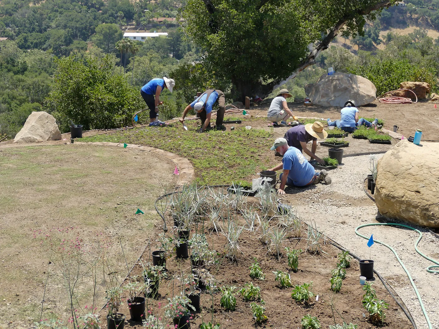Volunteers and staff planting the new Island View Garden
