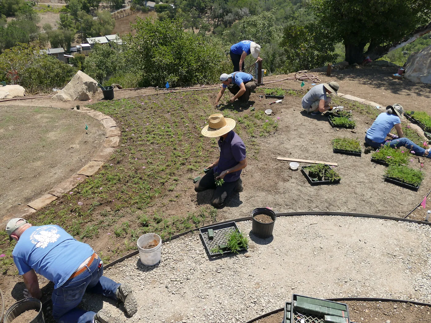 Volunteers and staff planting the new Island View Garden