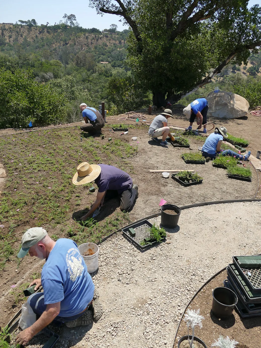 Volunteers and staff planting the new Island View Garden