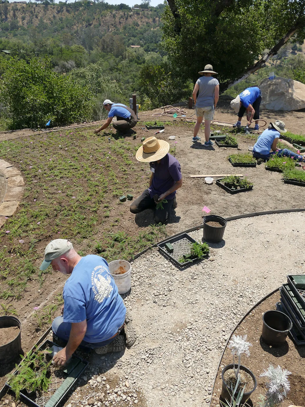 Volunteers and staff planting the new Island View Garden