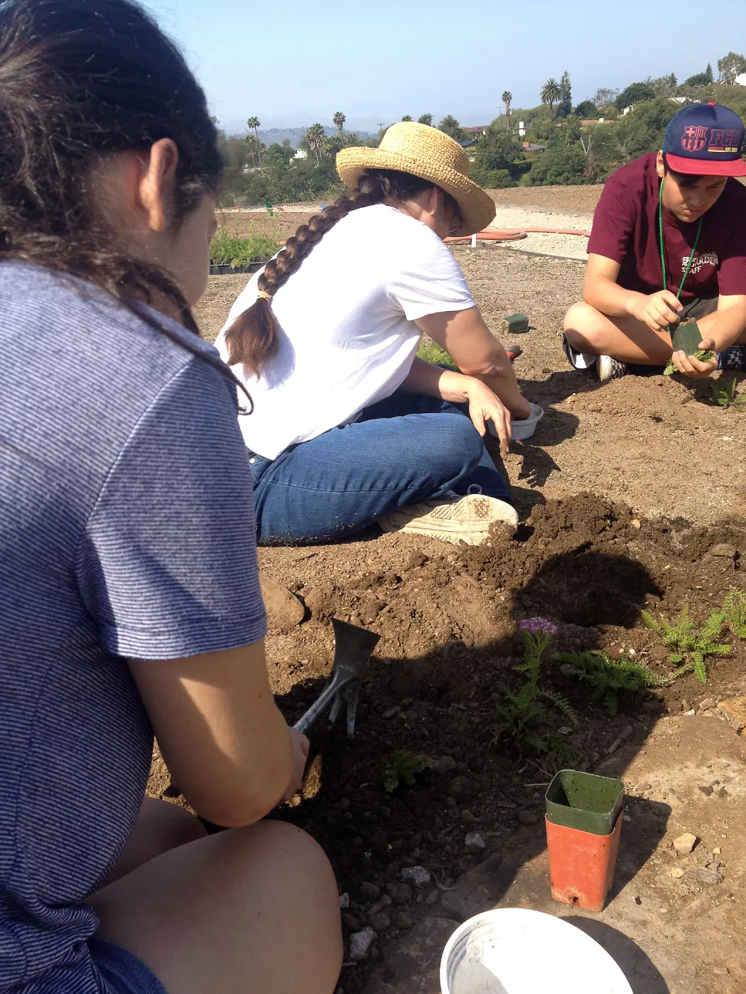 Volunteers planting the new Island View Garden