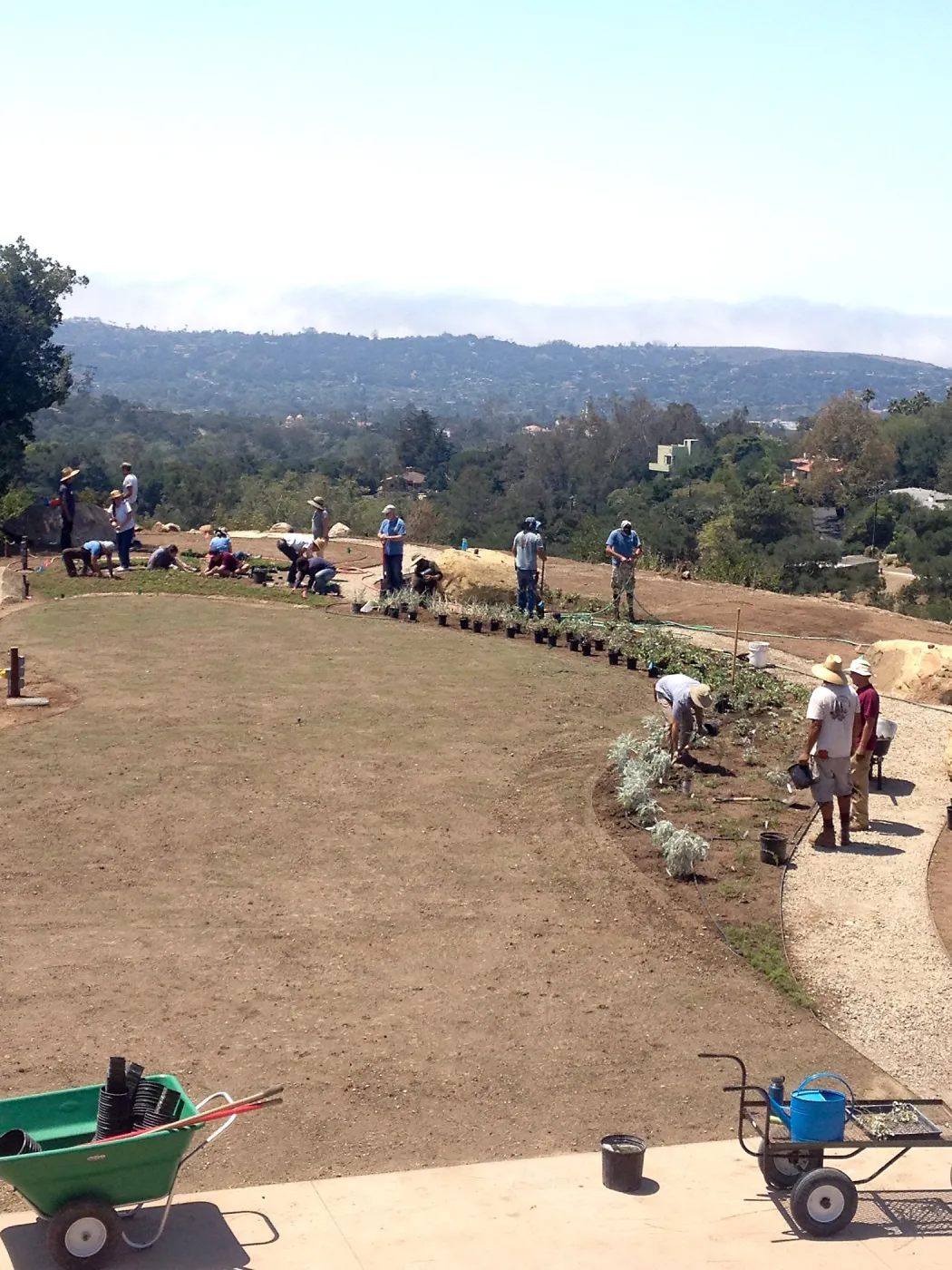 Volunteers and staff planting the new Island View Garden