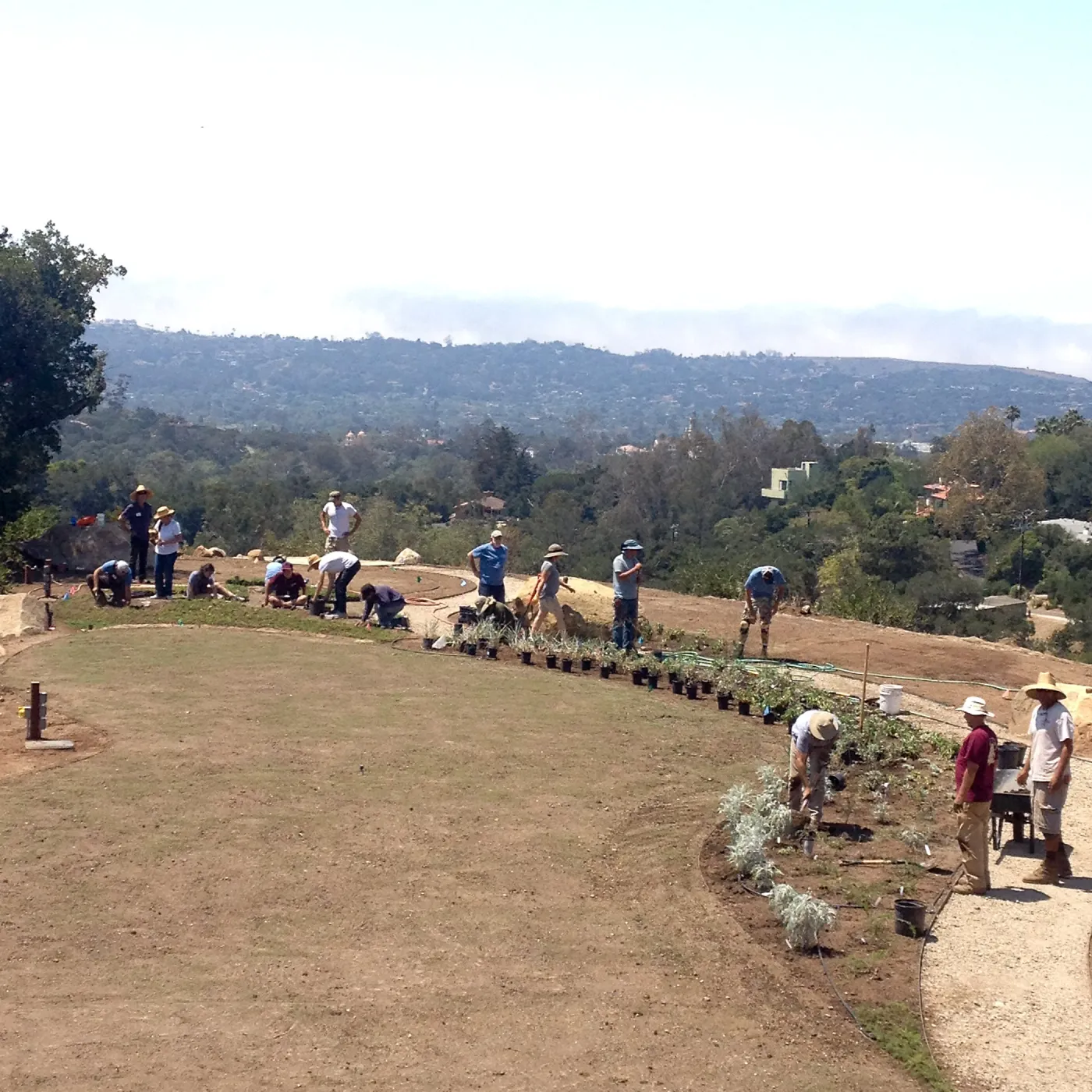 Volunteers and staff planting the new Island View Garden