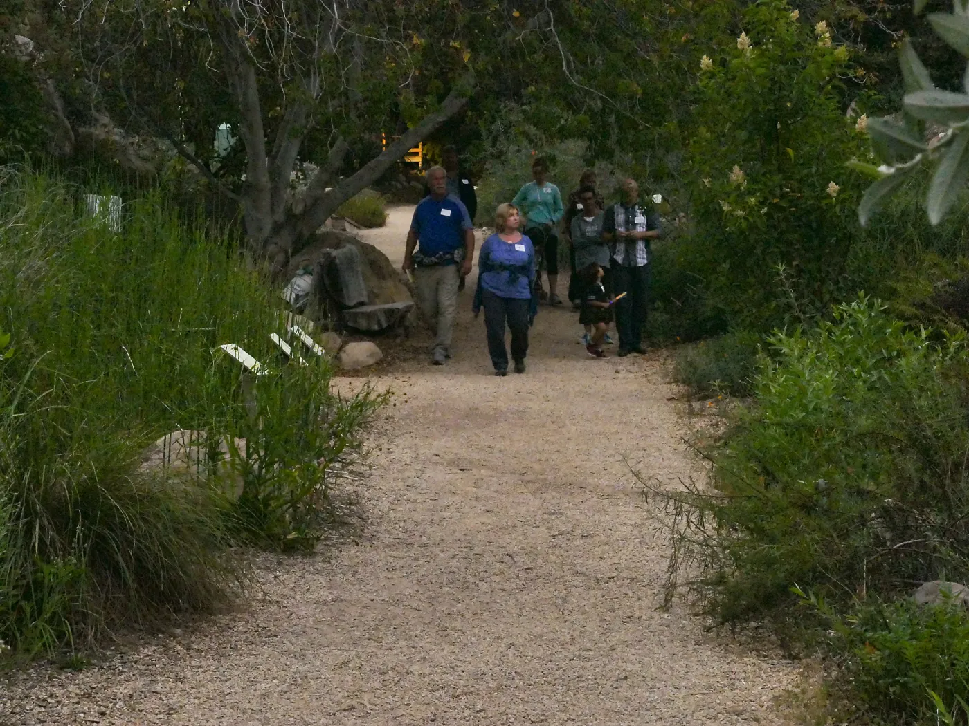 Member Appreciation Month, Full Moon Hike, hikers in Arroyo Section