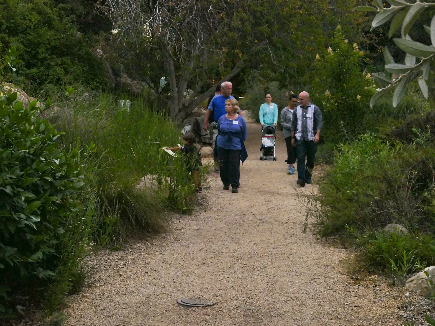Member Appreciation Month, Full Moon Hike, hikers in Arroyo Section