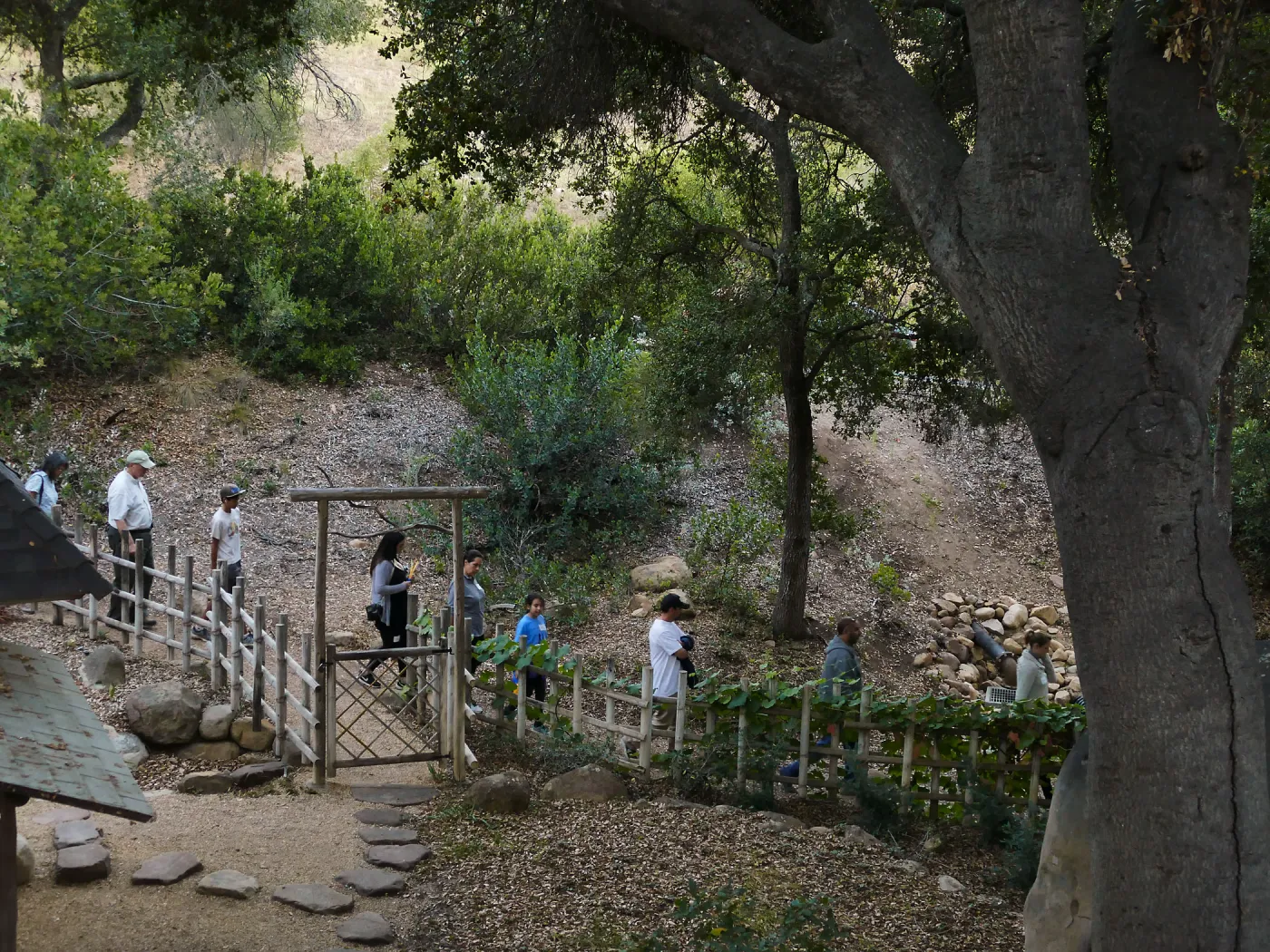 Member Appreciation Month, Full Moon Hike, hikers near Tea House