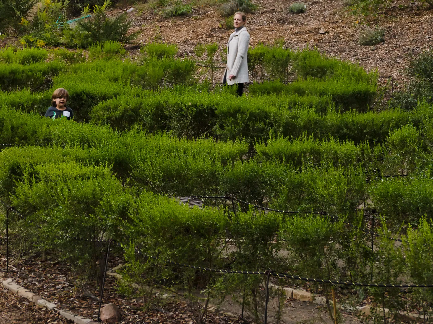 Member Appreciation Month, Full Moon Hike, Centennial Maze