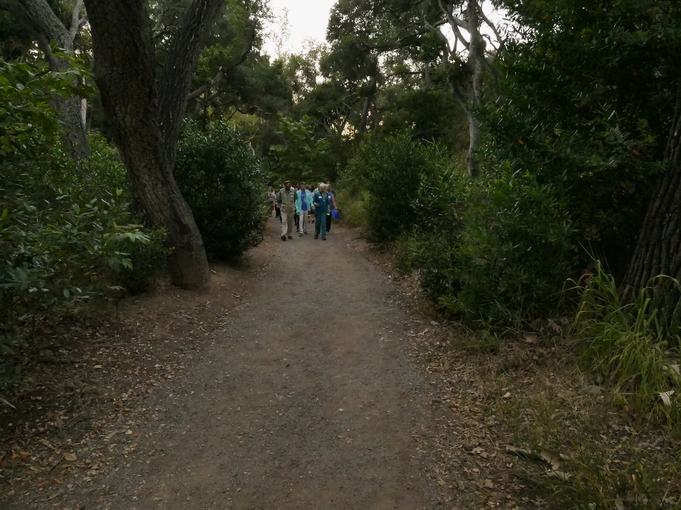 Member Appreciation Month, Full Moon Hike, hikers in Canyon