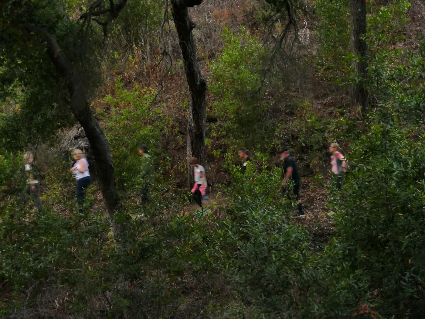 Member Appreciation Month, Full Moon Hike, hikers on Pritchett Trail