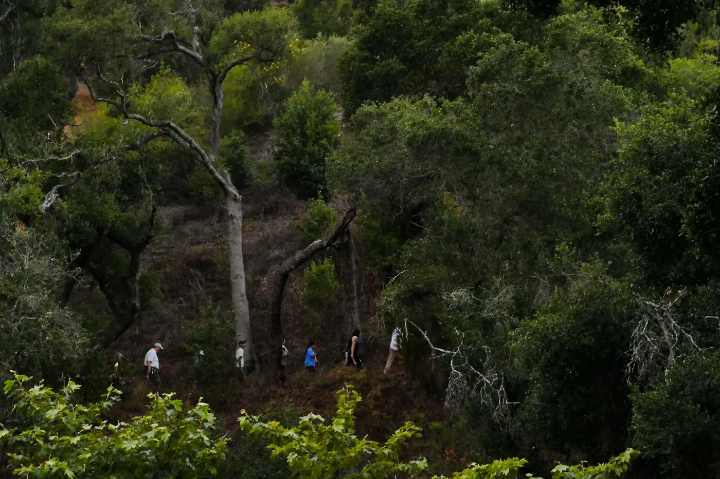 Member Appreciation Month, Full Moon Hike, hikers on Pritchett Trail