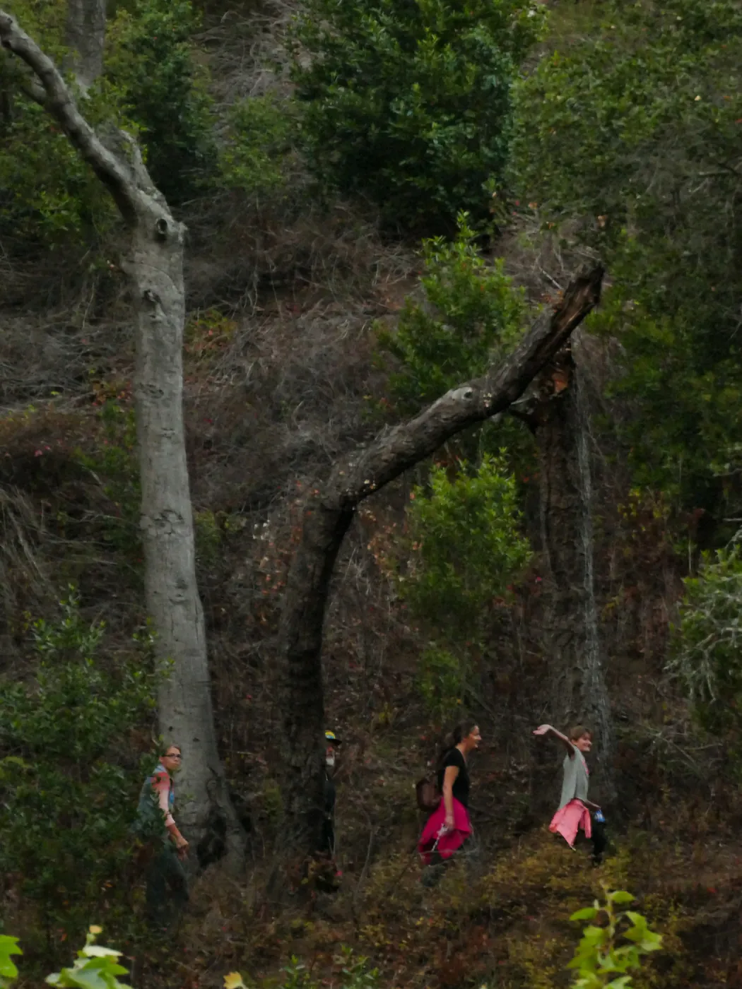 Member Appreciation Month, Full Moon Hike, hikers on Pritchett Trail