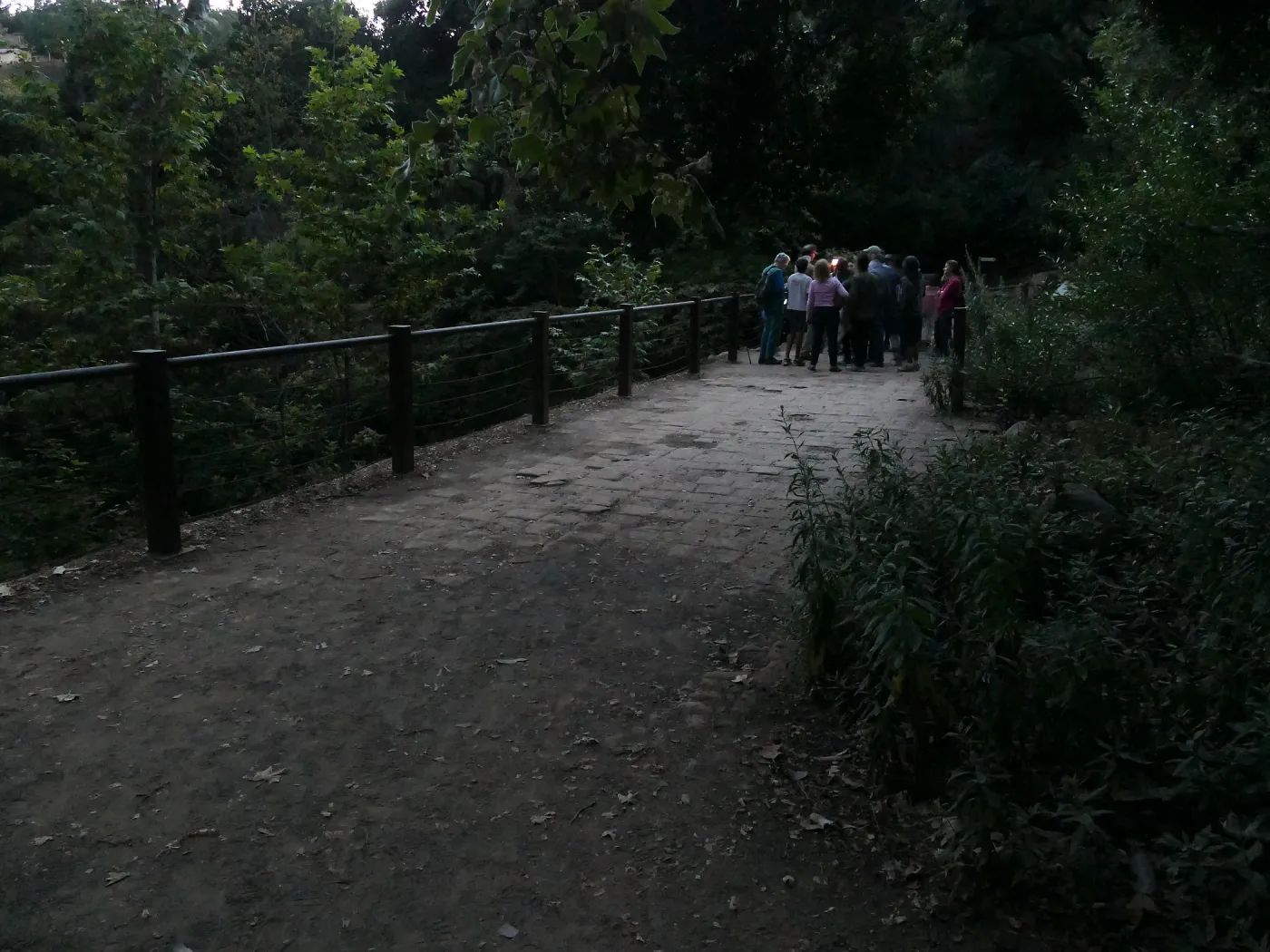Member Appreciation Month, Full Moon Hike, hikers at Mission Dam