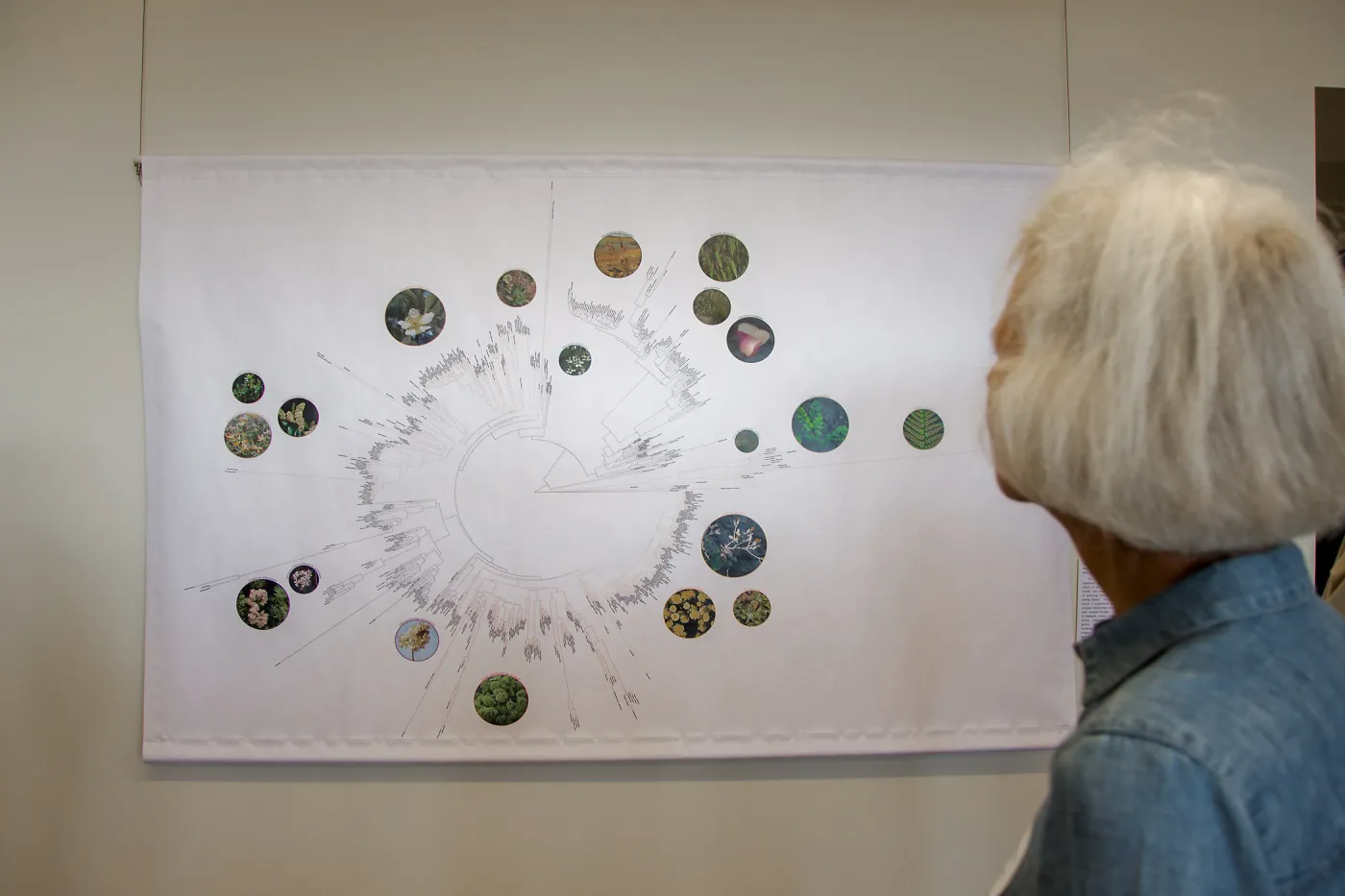 Pritzlaff Conservation Center Ribbon Cutting Celebration