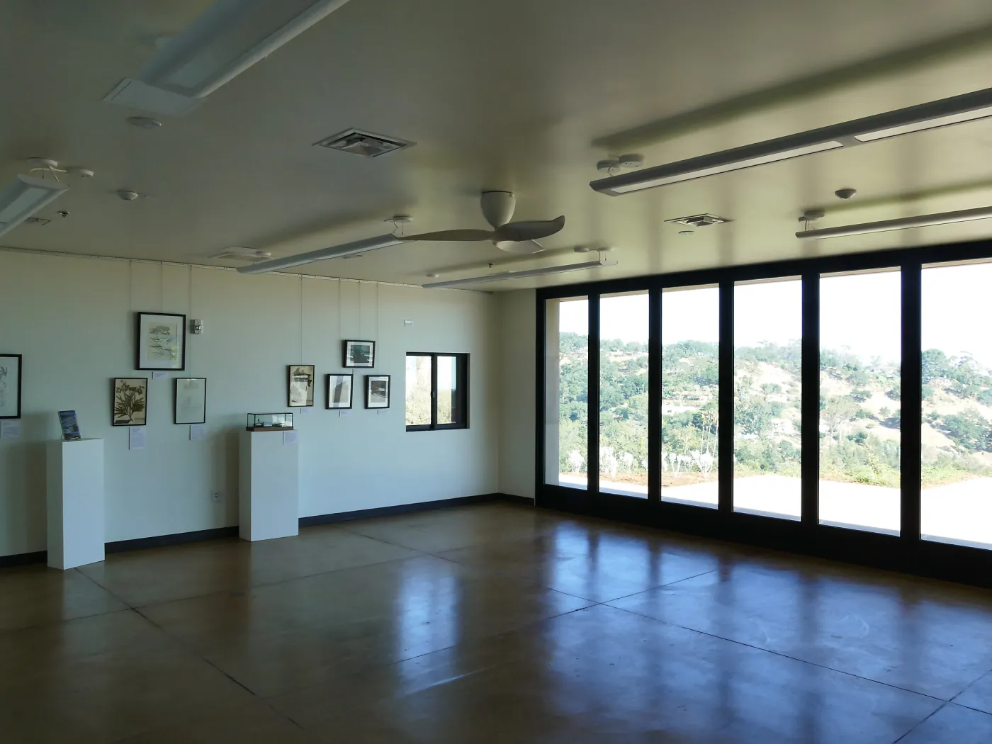 Pritzlaff Conservation Center Construction, Exhibit Room, looking southeast