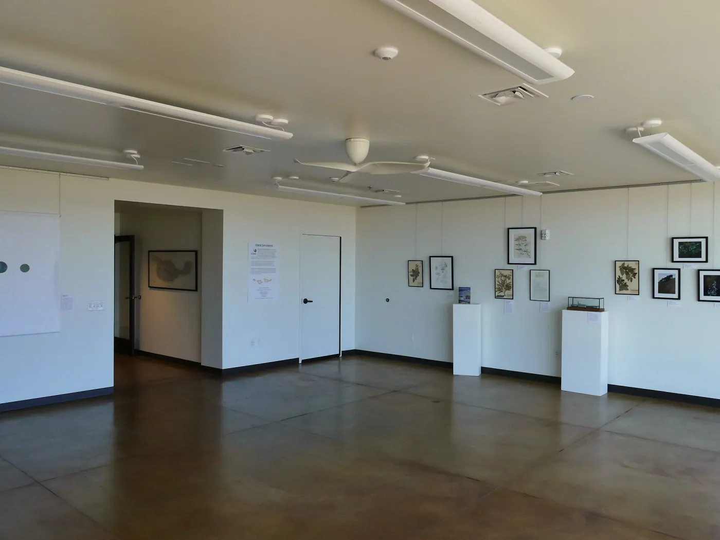 Pritzlaff Conservation Center Construction, Exhibit Room, looking northeast