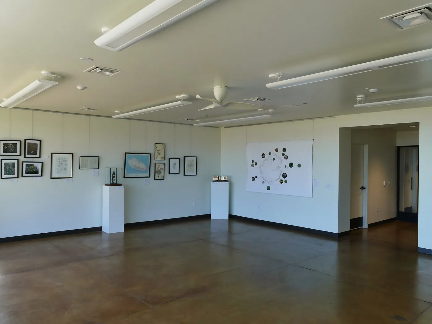 Pritzlaff Conservation Center Construction, Exhibit Room, looking northeast