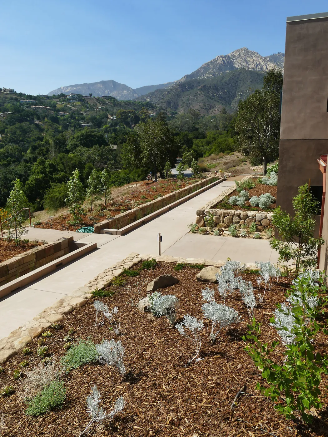 Entry walk and rill, Pritzlaff Conservation Center