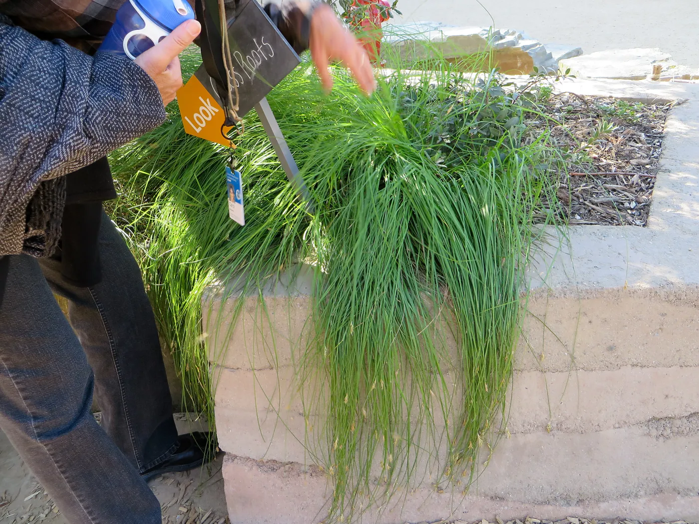 Natural History Museum of Los Angeles, Nature Gardens