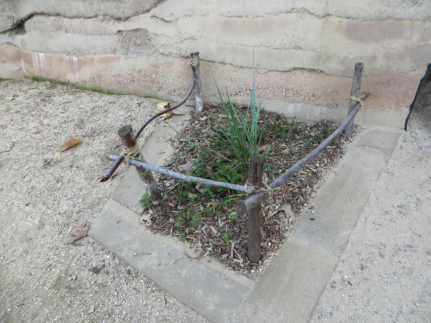 Natural History Museum of Los Angeles, Nature Gardens