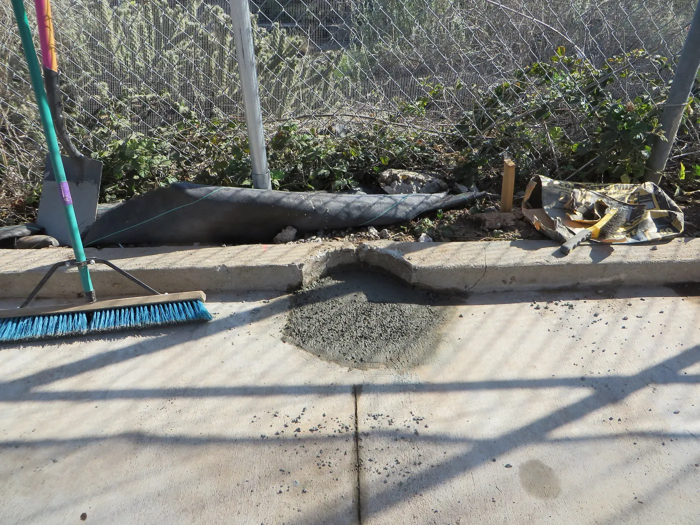 SBBG rebuilding the Hort Unit