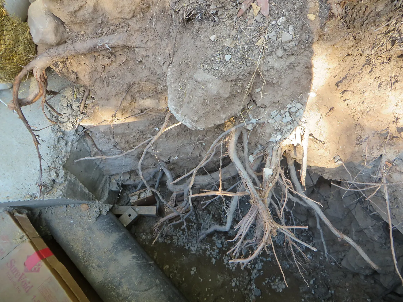 SBBG Sewer work, Mission Cyn Rd