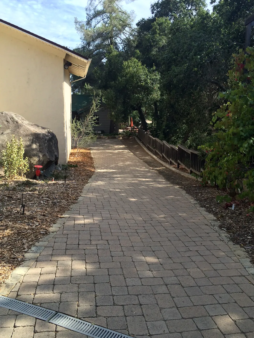 Home Demo Garden